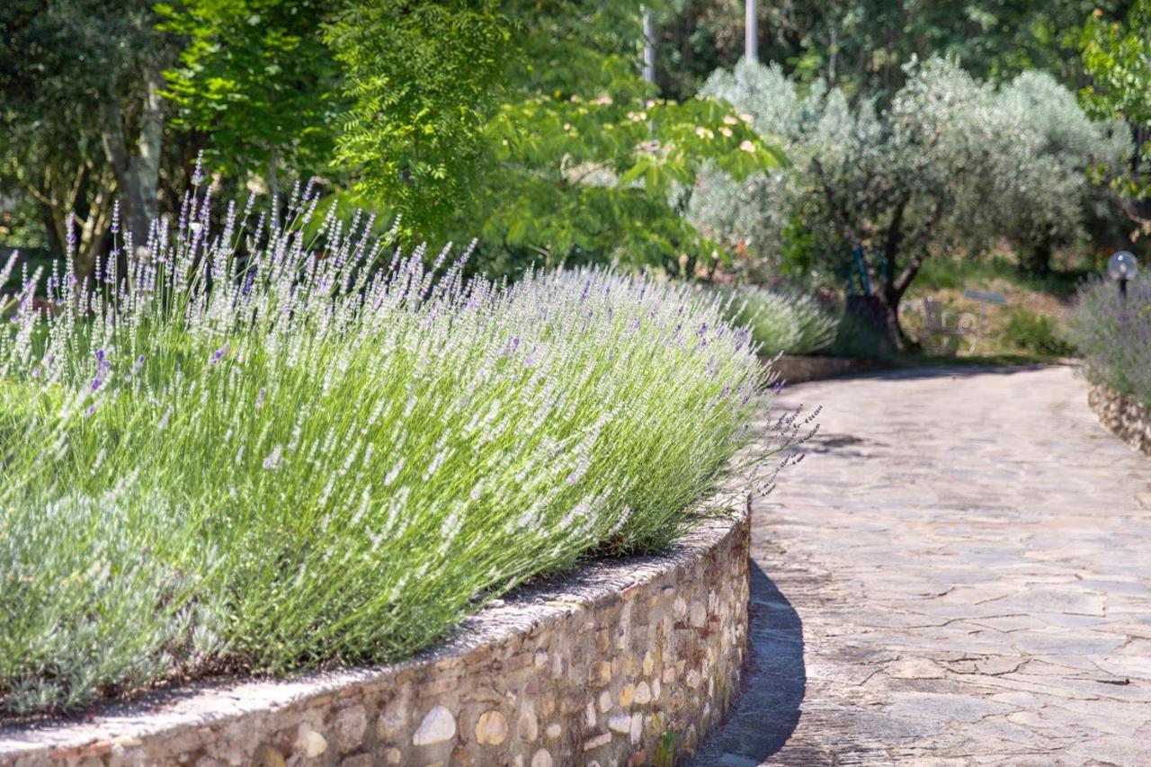 Agriturismo La Valle A Polvereto Tavarnelle Val di Pesa エクステリア 写真