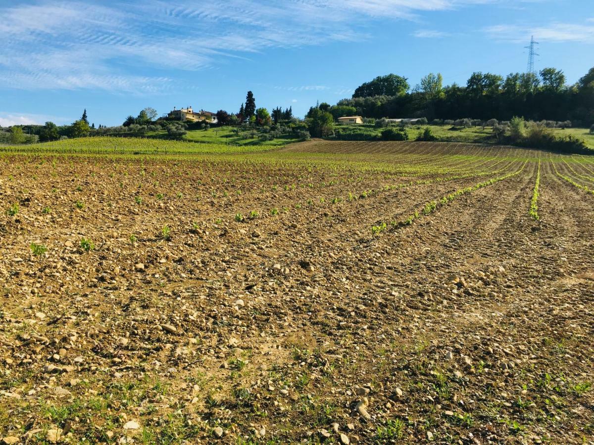 Agriturismo La Valle A Polvereto Tavarnelle Val di Pesa エクステリア 写真
